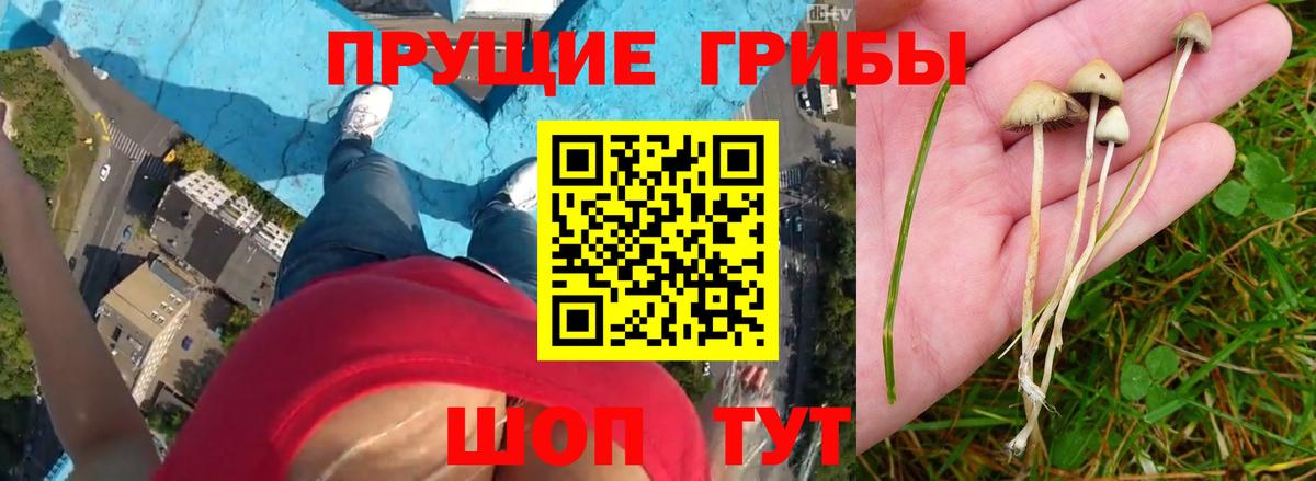 Галлюциногенные грибы мухоморы  Вход с VPN  Сатка  Галлюциногенные грибы MAGIC MUSHROOMS 